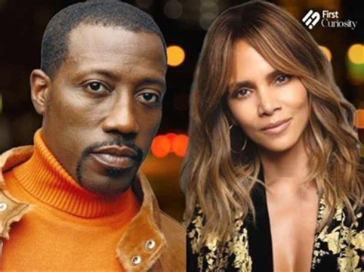 The False Allegation Of Wesley Snipes Assaulting Halle Berry