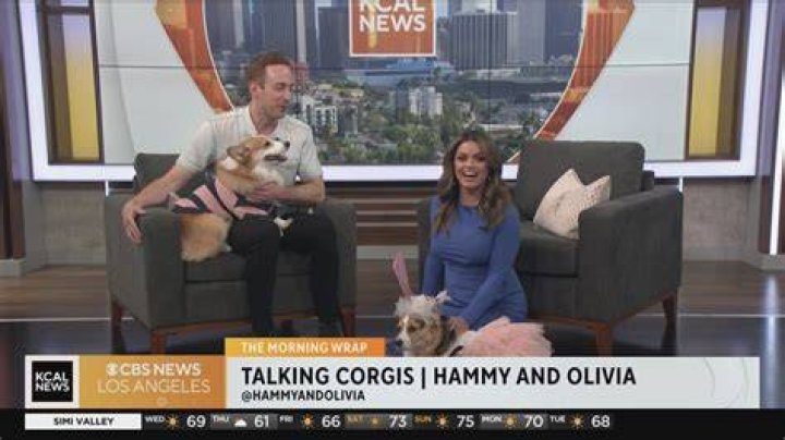The Lasting Legacy And Surprising Deaths Of Hammy And Olivia