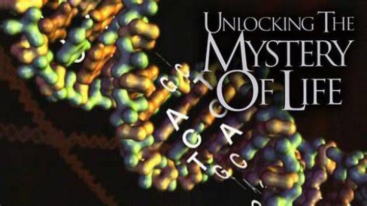 The Mystery of 7958844 Uncovering the Truth Behind the Numbers Stock
