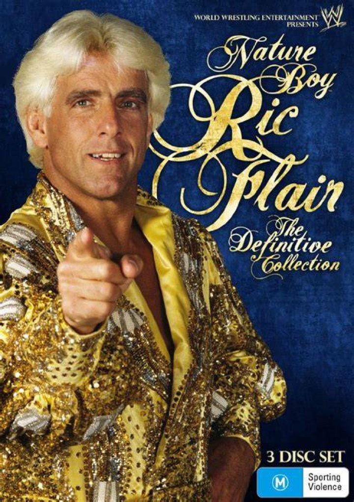 The Nature Boy's Daughter Got Physically Involved In Ric Flair's Last Match