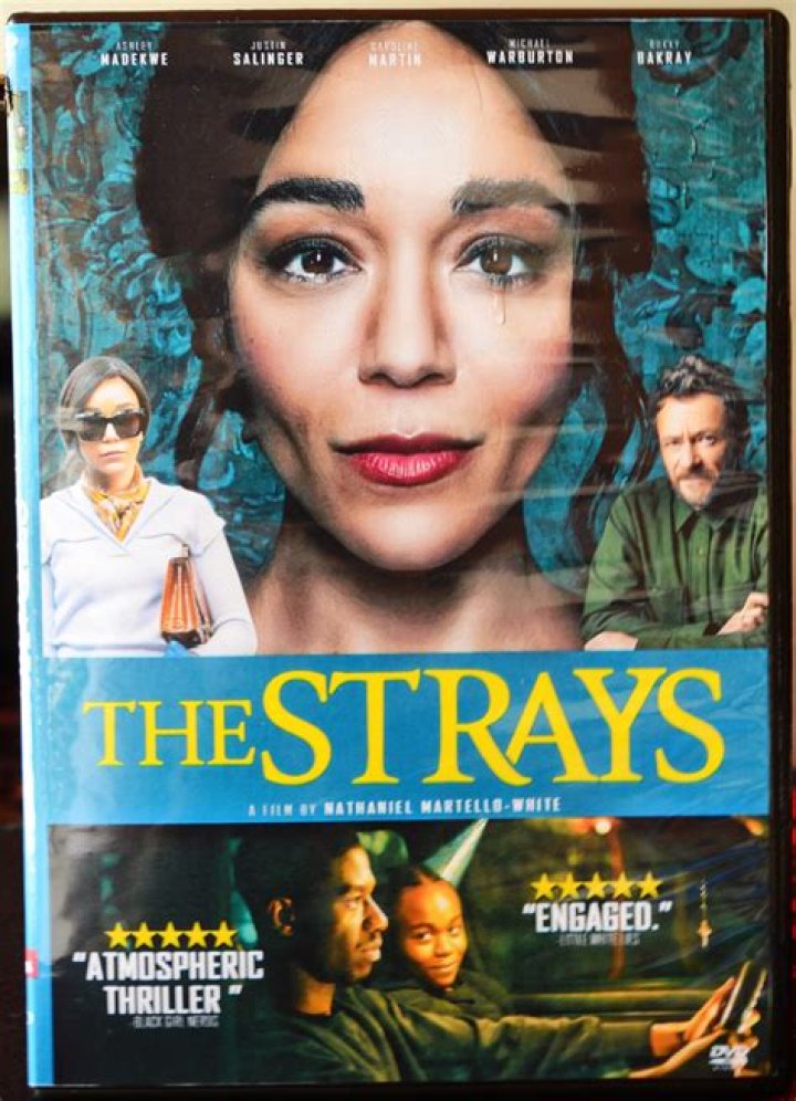 The Strays FilmRezensionen.de