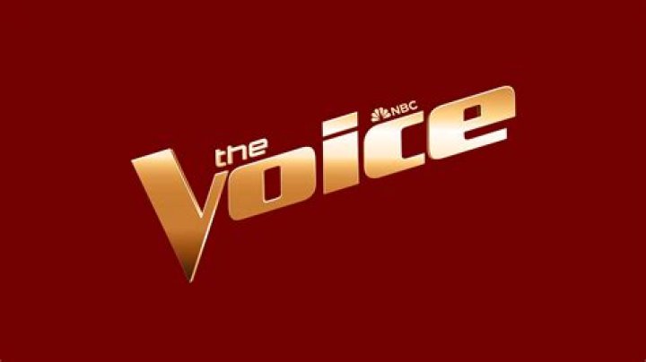 The Voice's Brock Ashby on making his music career dreams come true