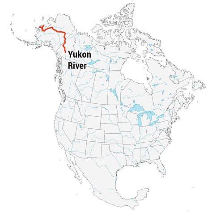 The Yukon River originates in Yukon and British Columbia, then flows into Alaska