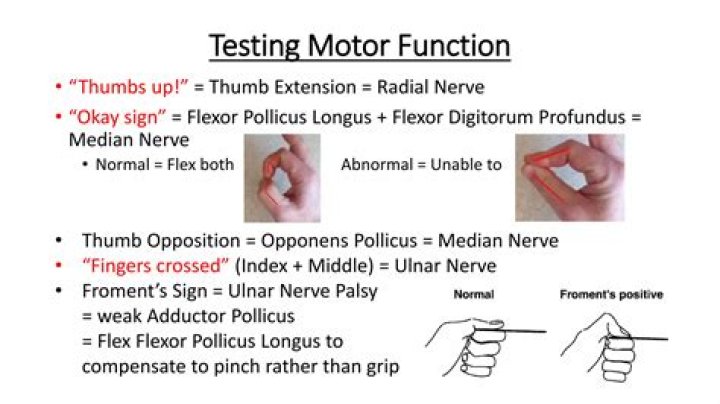Thumbs Up! Thumb injuries and their management EMCAGE