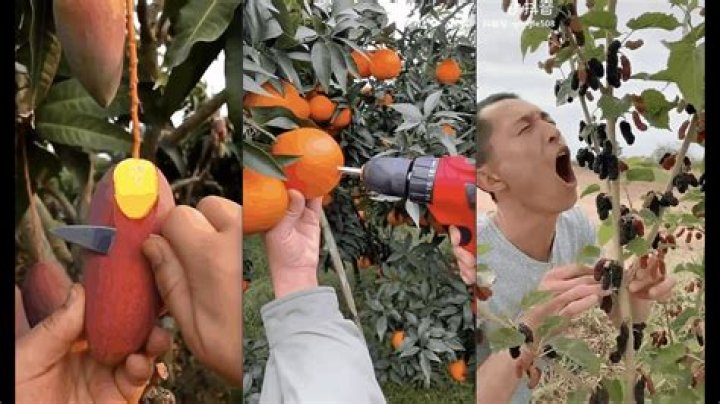 Tik Tok Eating Fruit at the Garden is Awsome [抖音] 4 TRENDING CHINA