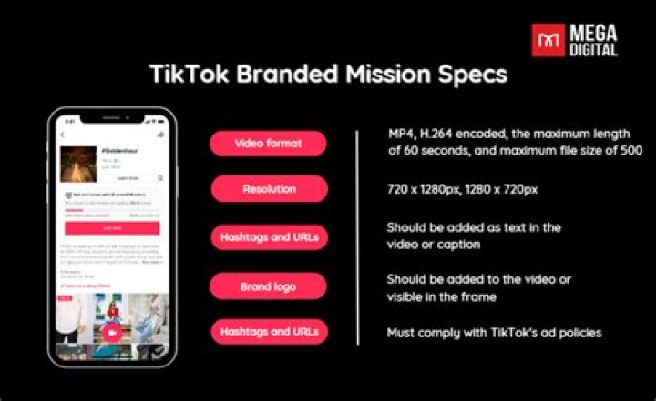 TikTok Branded Mission İlham veren marka ve yaratıcı iş birlikleri