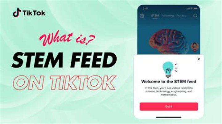 TikTok Introduces STEM Feed Protected, Academic Content material LSY