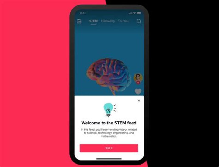 TikTok is adding a dedicated feed for STEM content TechCrunch