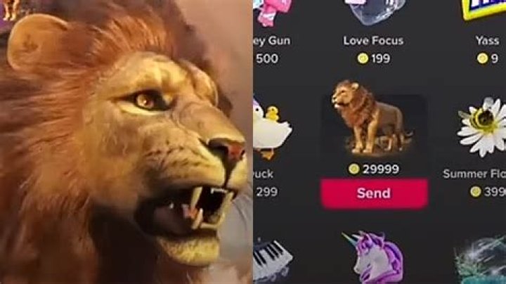 TikTok Lions Price How Much Is the Lion Worth in US And UK