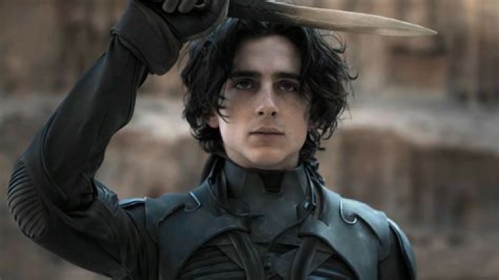 Timoth&eacute;e Chalamet Wallpapers Top Free Timoth&eacute;e Chalamet Backgrounds