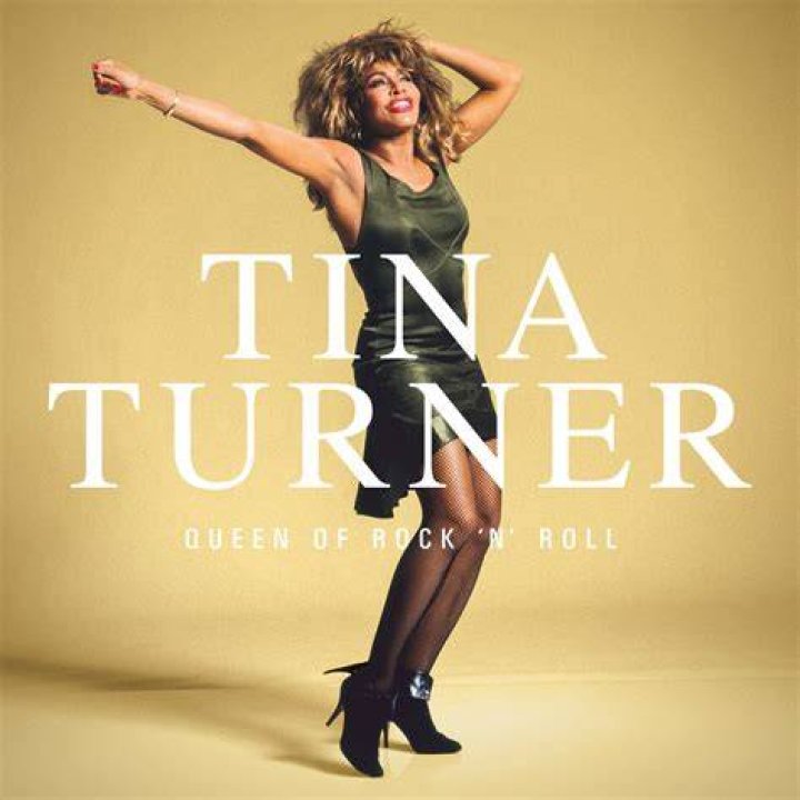 Tina Turner's DaughterinLaw Afida Puts Her Enormous Cleavage on