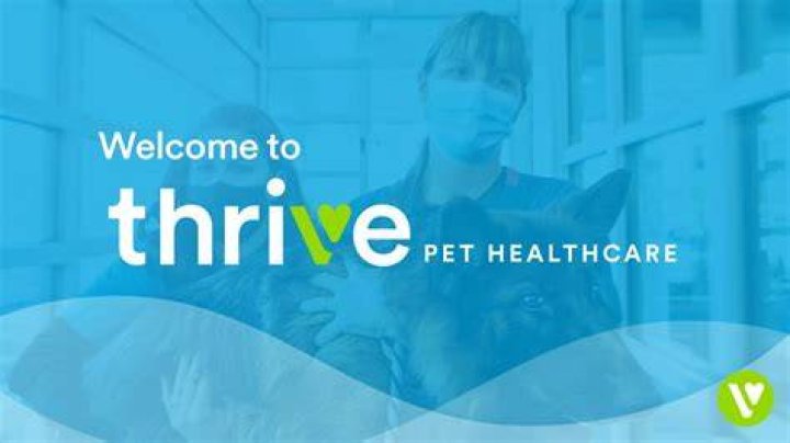To Thrive Pet Healthcare YouTube
