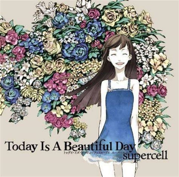 Today Is A Beautiful Day Quotes. QuotesGram