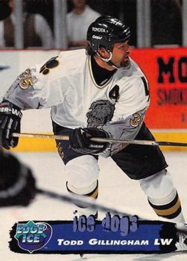 Was Former Hockey Player Todd Gillingham Married? Families And Wealth Todd Gillingham