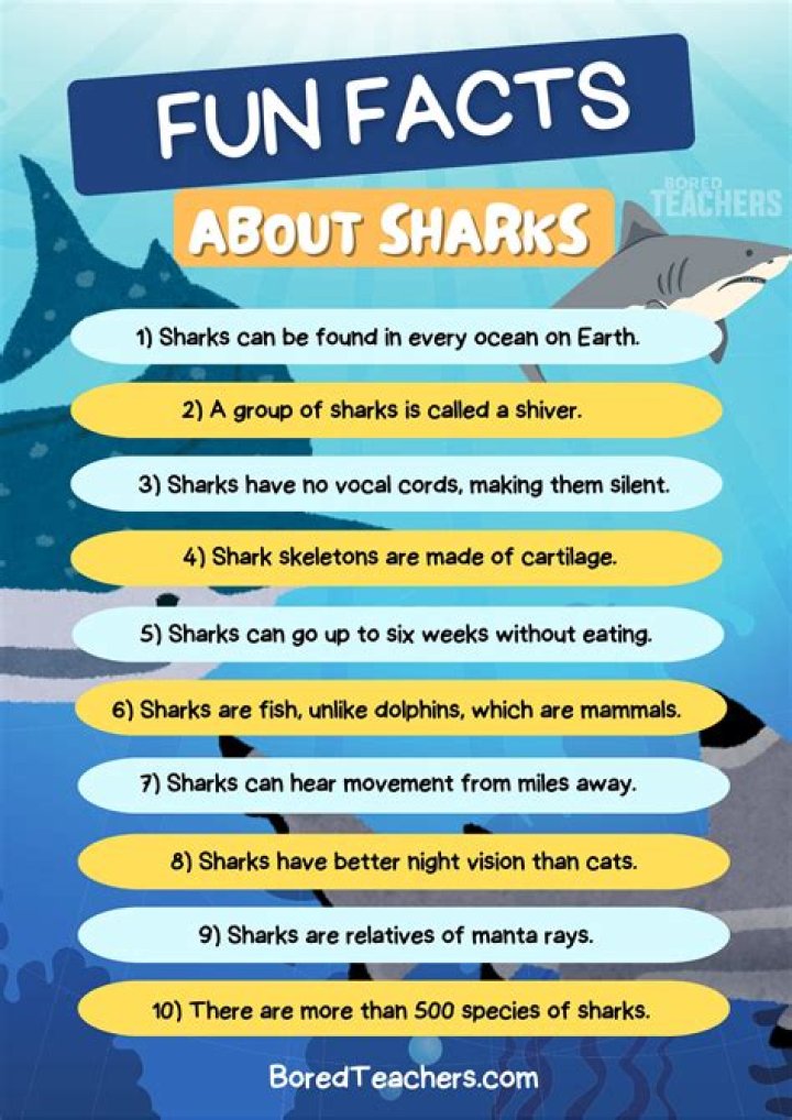 Top 10 shark facts for Shark Awareness Day DIVE Magazine