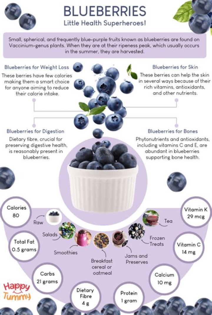 Top 15 what do blueberries look like on the inside in 2022 [2022] AZSAGE