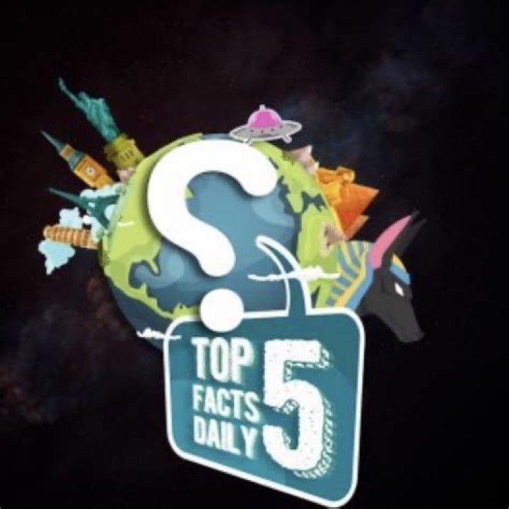 top 5 facts facts YouTube