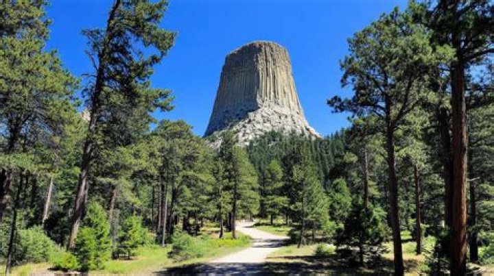 Towering beauty Backbone State Park Bill Benson Flickr
