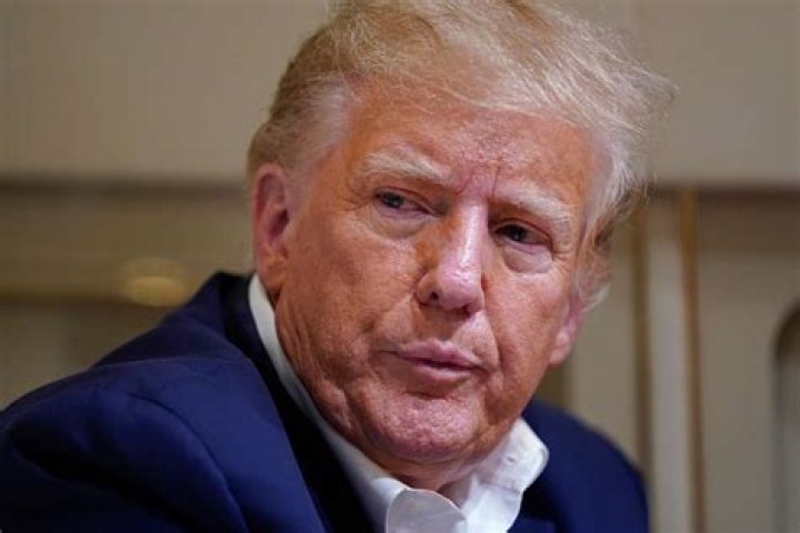 Tracy Fiorenza Donald Trump and his son Baron