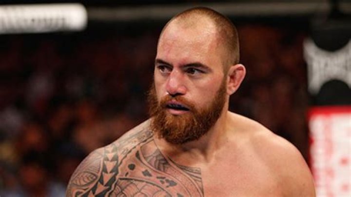Travis Browne Complete Profile Height, Weight, Fight Stats MiddleEasy