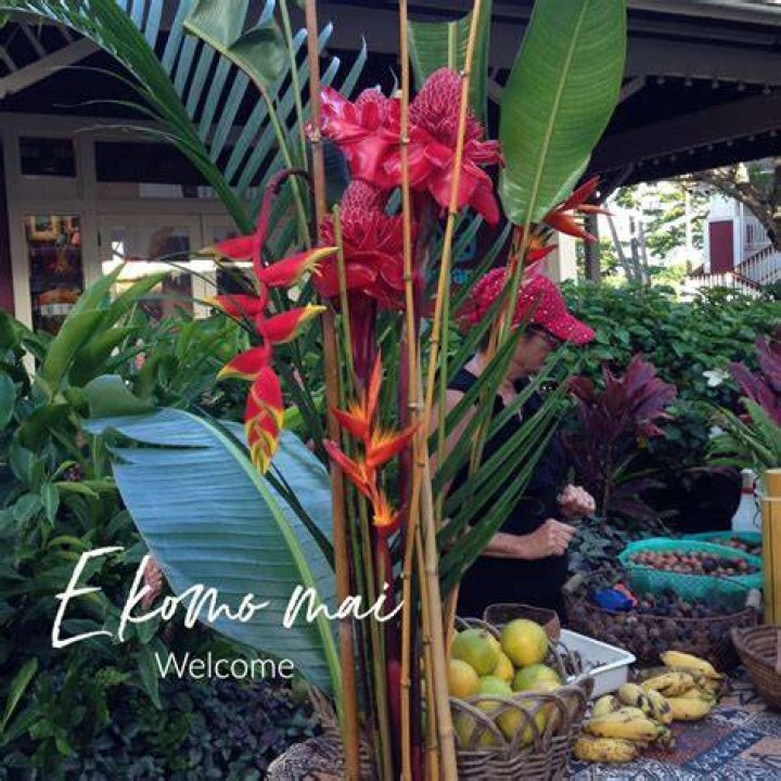 Tropical / E Komo Mai sign Etsy