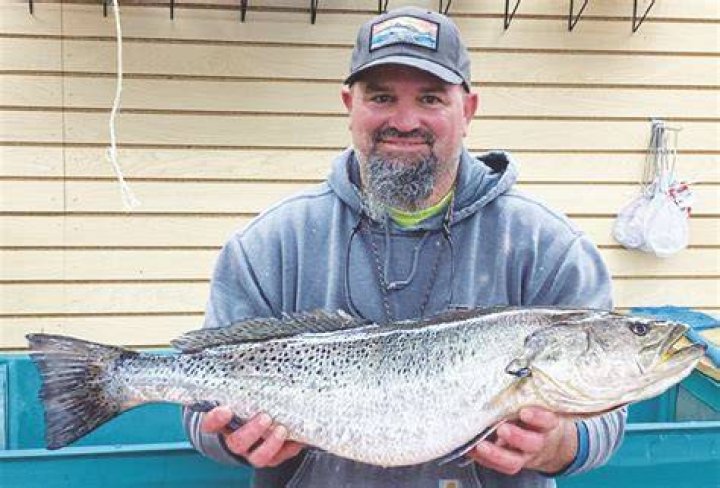 Trout Clout Angler reels in 51year old state record speck Davie