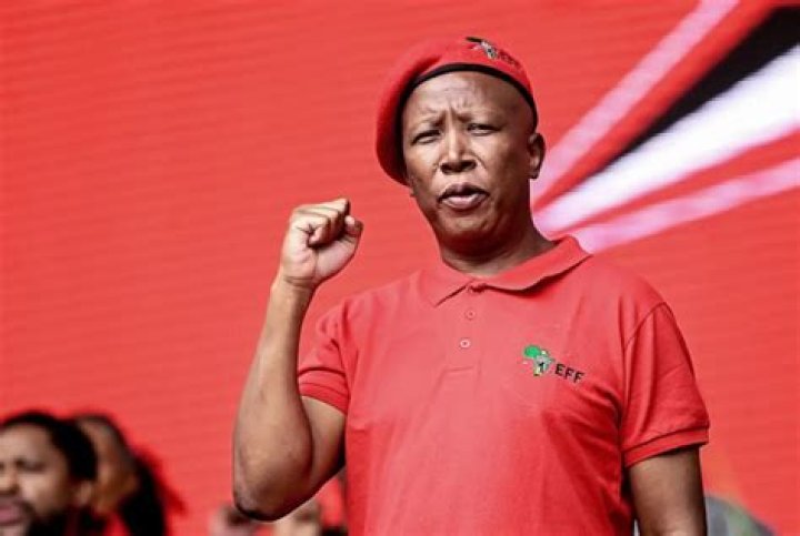 Truth About Julius Malema The Unconventional EFF Leader Unsettling The