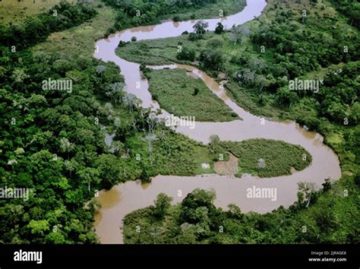 Ubangi River in Congo Africa
