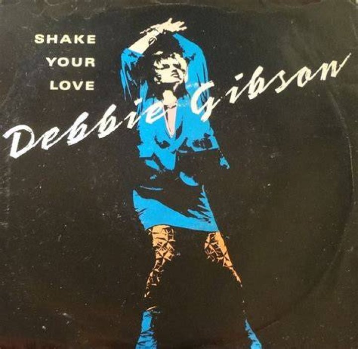 Uncover Debbie Gibson's Vinyl Revival: Discoveries And Insights