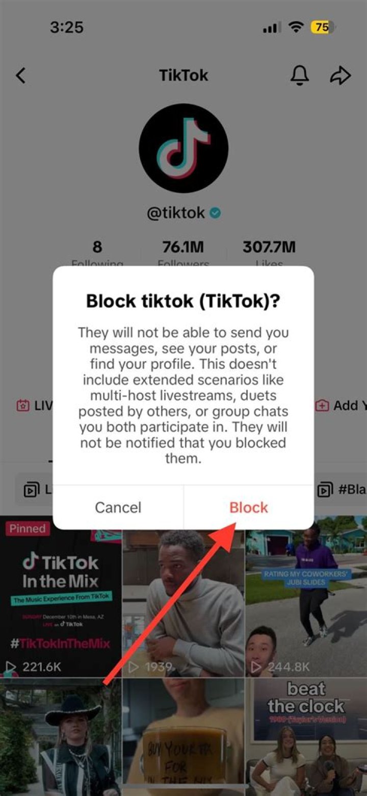 Uncover If Blocked Users Can Access Your TikTok Messages