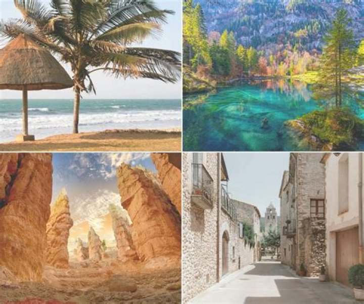 Uncover Local Treasures And Insights