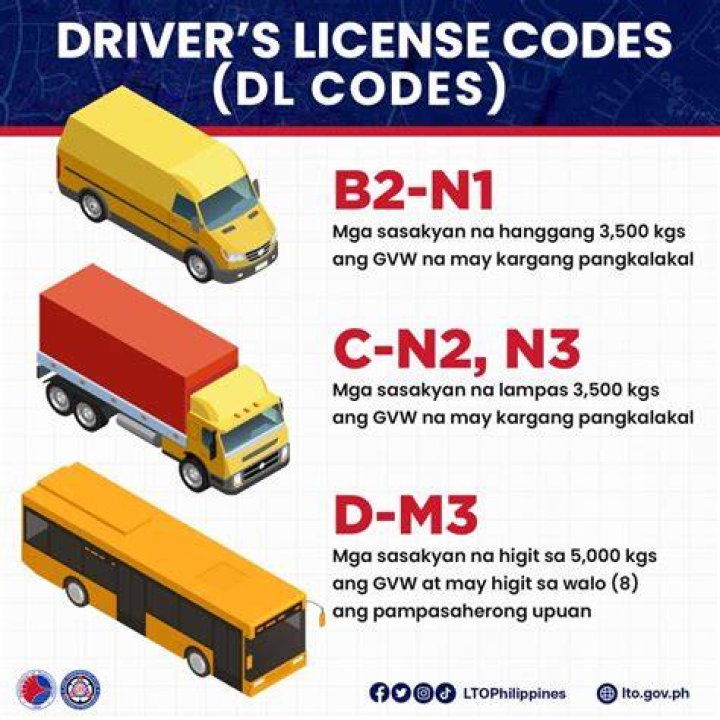 Uncover The Secrets: Drivers Licence Codes Explained