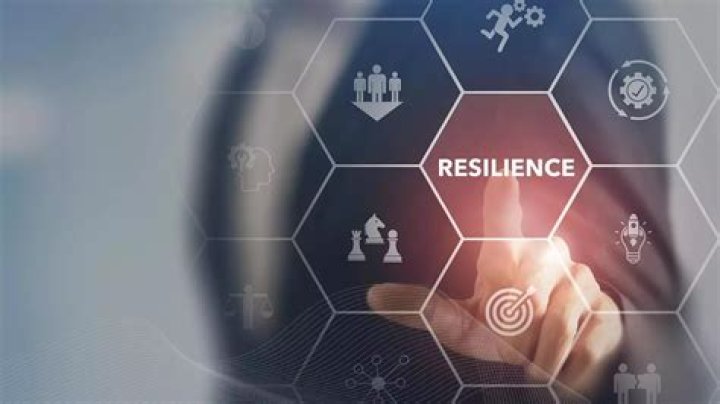 Uncovering Resilience, Growth, And Impact