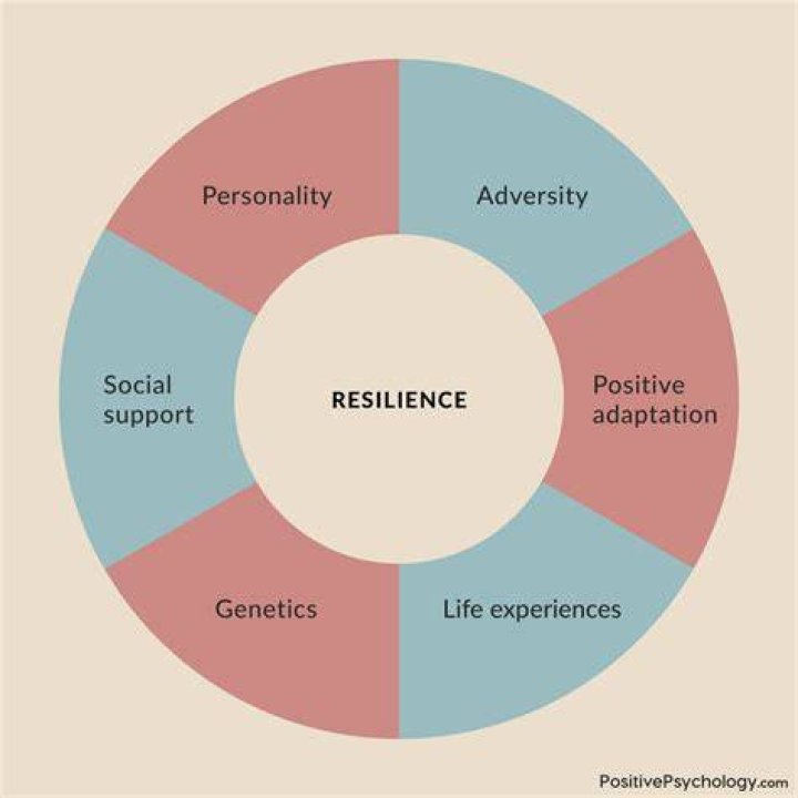 Uncovering Strength, Support, And Resilience