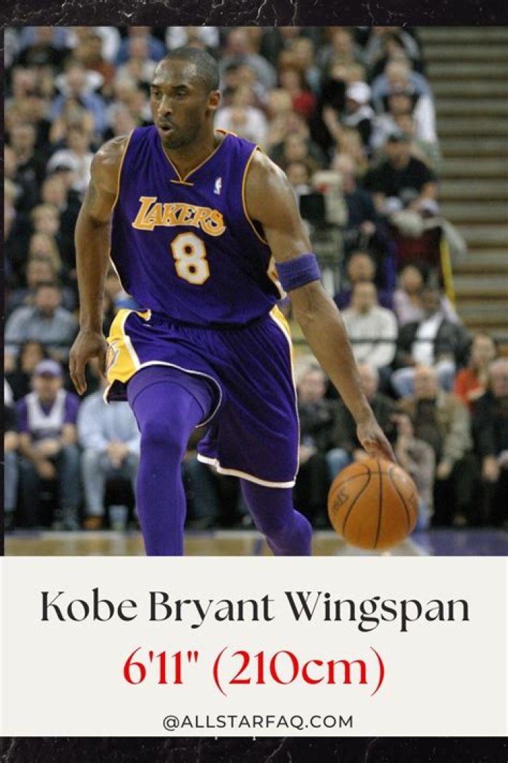 Unlocking Dominance With An Exceptional Wingspan