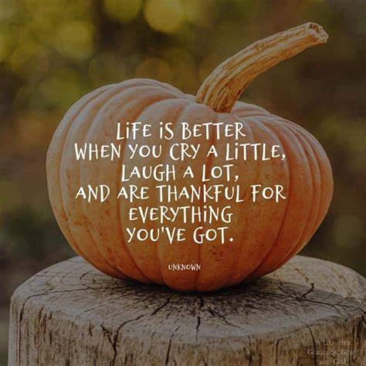 Unlocking The Joy Of "Thankful For Friends" Memes!