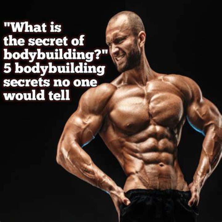 Unlocking The Secrets Of Bodybuilding And Beyond