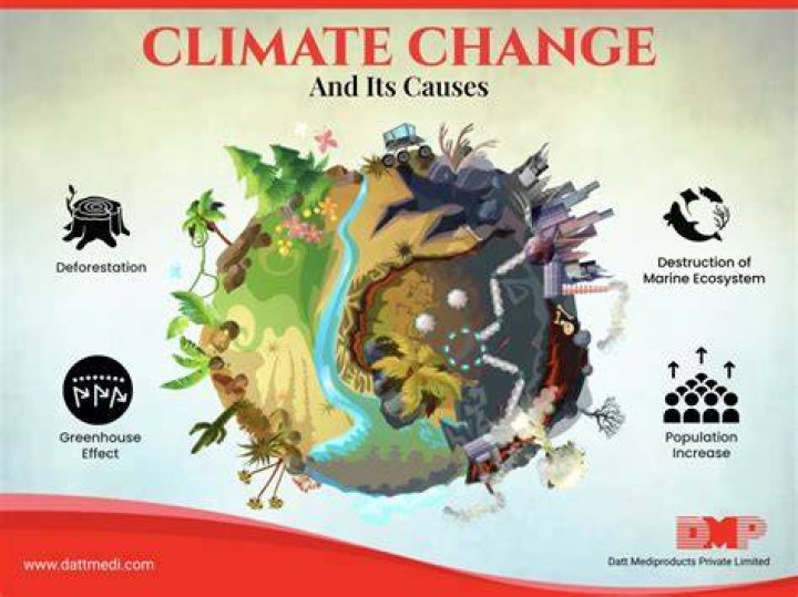 Unraveling Its Causes And Impacts