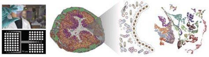 Unraveling Secrets And Uncovering Impact