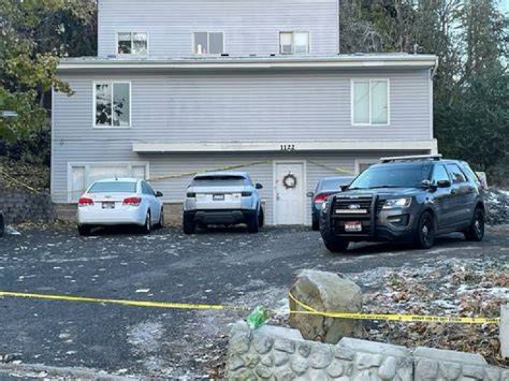Unraveling The Hamilton Shooting Murder Mystery