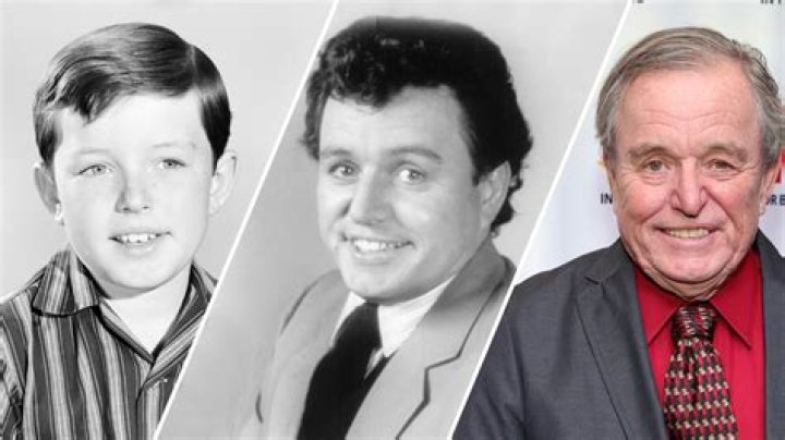 Unraveling The Mystery Behind Jerry Mathers' Iconic Nickname