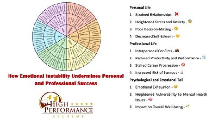Unraveling The Personal And Professional Dynamics