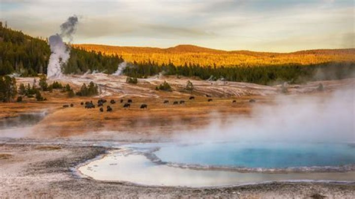 Unraveling The Significance Of The Iconic "Cody Ring Yellowstone Picture"
