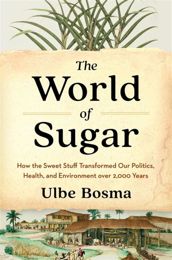 Unveiling Anna Bosma: Discoveries And Insights Await