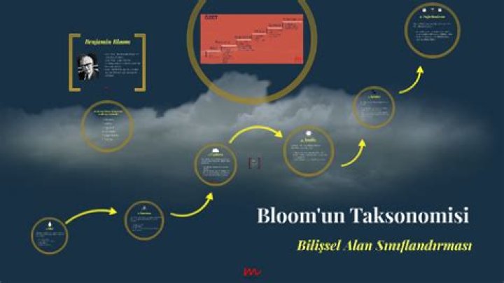 Unveiling Emily Bloom's Secrets: Discoveries And Insights