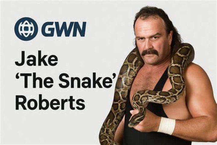 Unveiling Jake "The Snake" Roberts' Net Worth: Discover His Financial Enigma