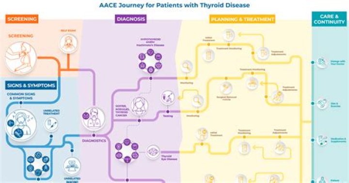 Unveiling Joyce Vance's Thyroid Journey: Discoveries And Insights