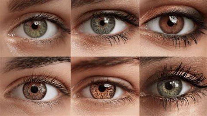 Unveiling The Enchanting World Of Hazel Renee: Discoveries And Insights
