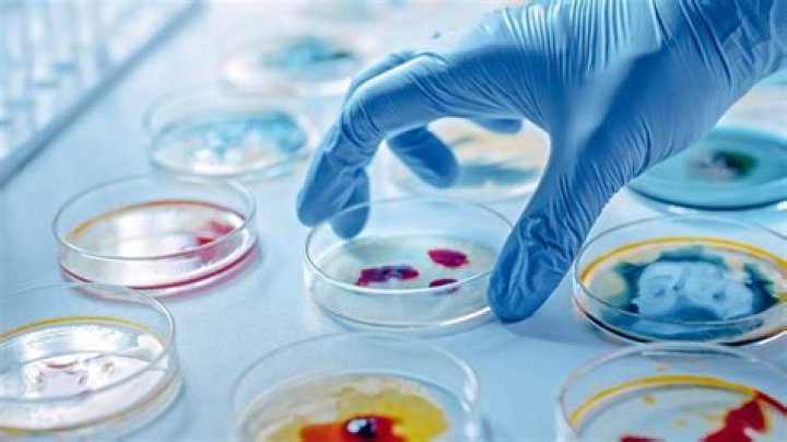 Unveiling The Enigma Of Baby Alien Viral Content: Discoveries And Insights