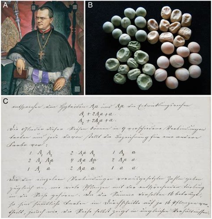 Unveiling The Enigma Of "Hot Blonde": Discoveries And Decoded Meanings